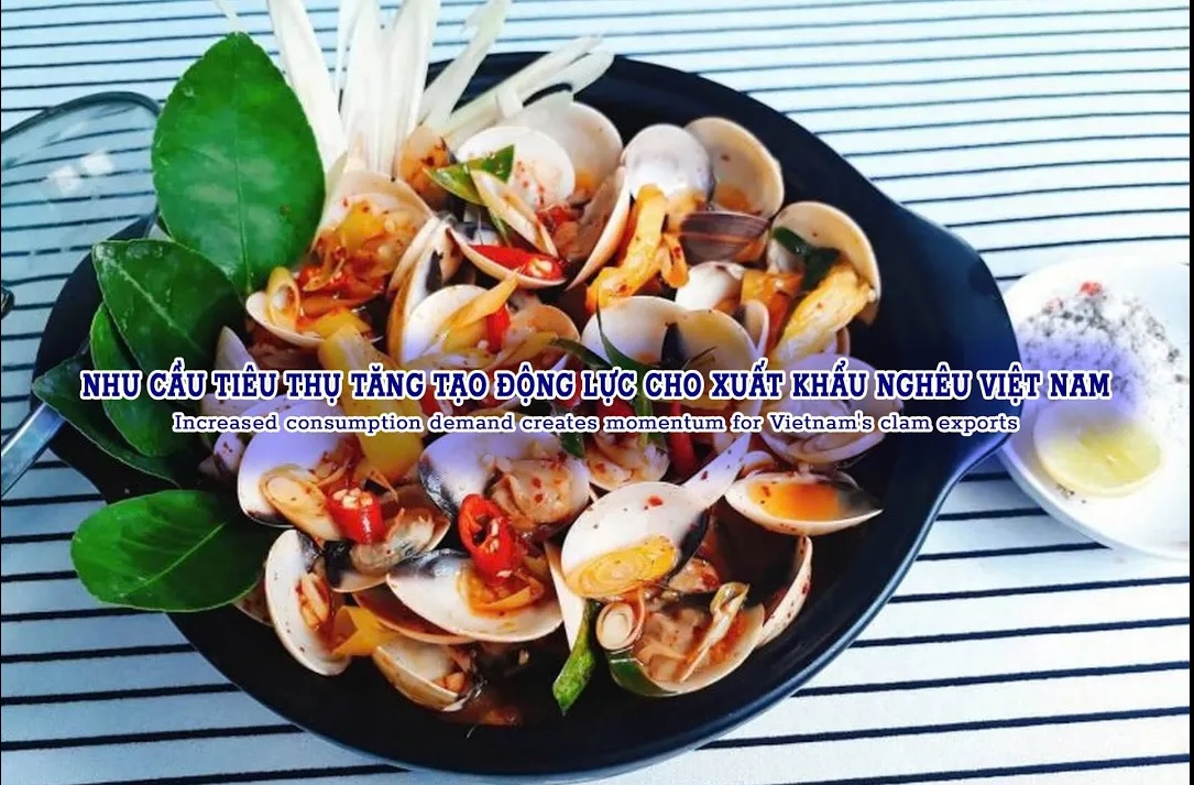 VASEP Highlight - Oct. 2024 Clams