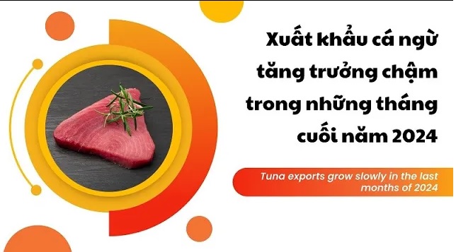 VASEP Highlight - Oct. 2024 Tuna