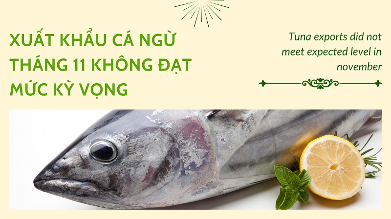 VASEP Highlight - T122024 Cá ngừ