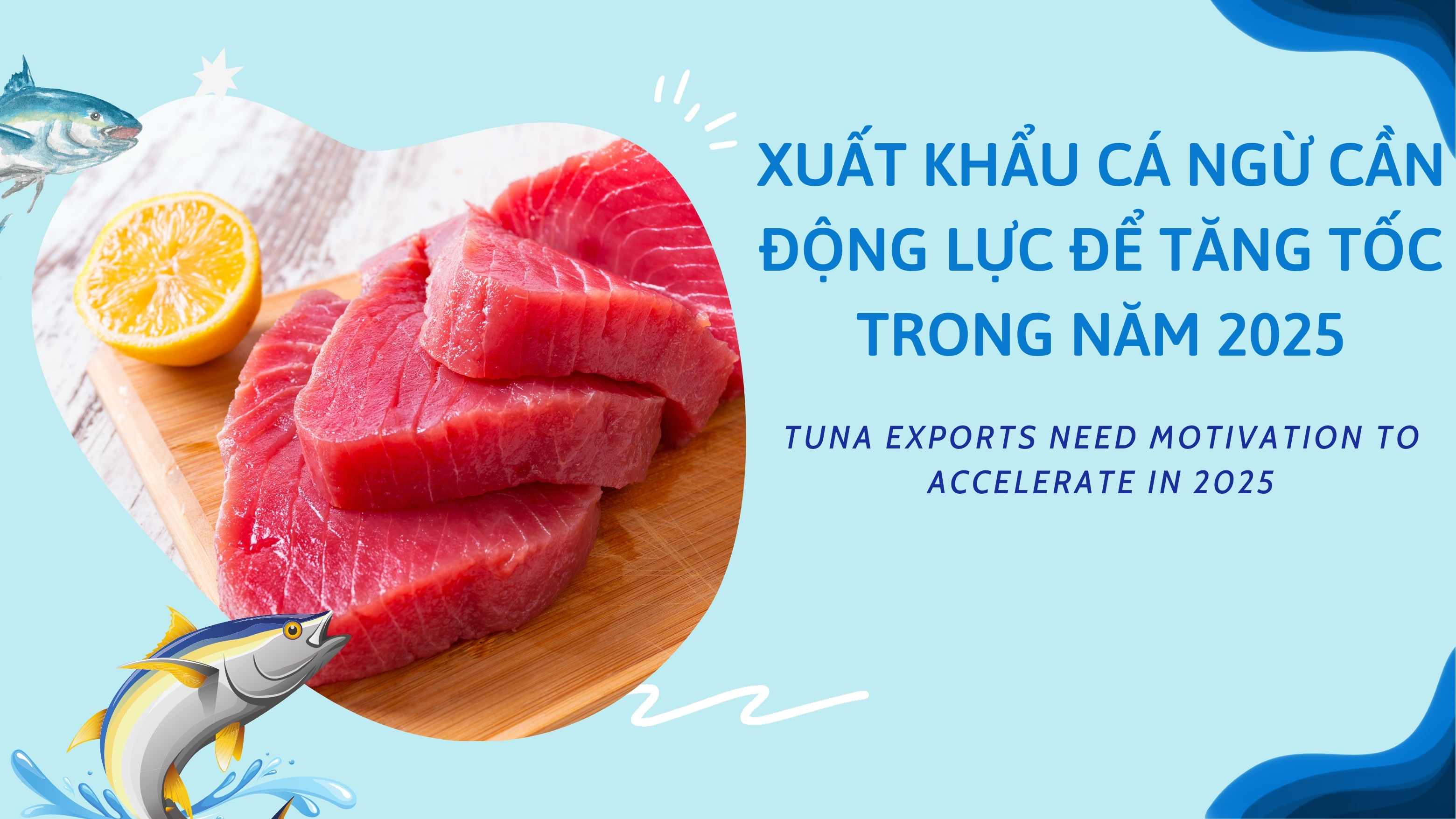 VASEP Highlight - T12025 Cá Ngừ