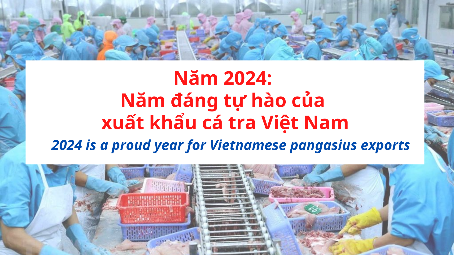 VASEP Highlight - T12025 Cá Tra