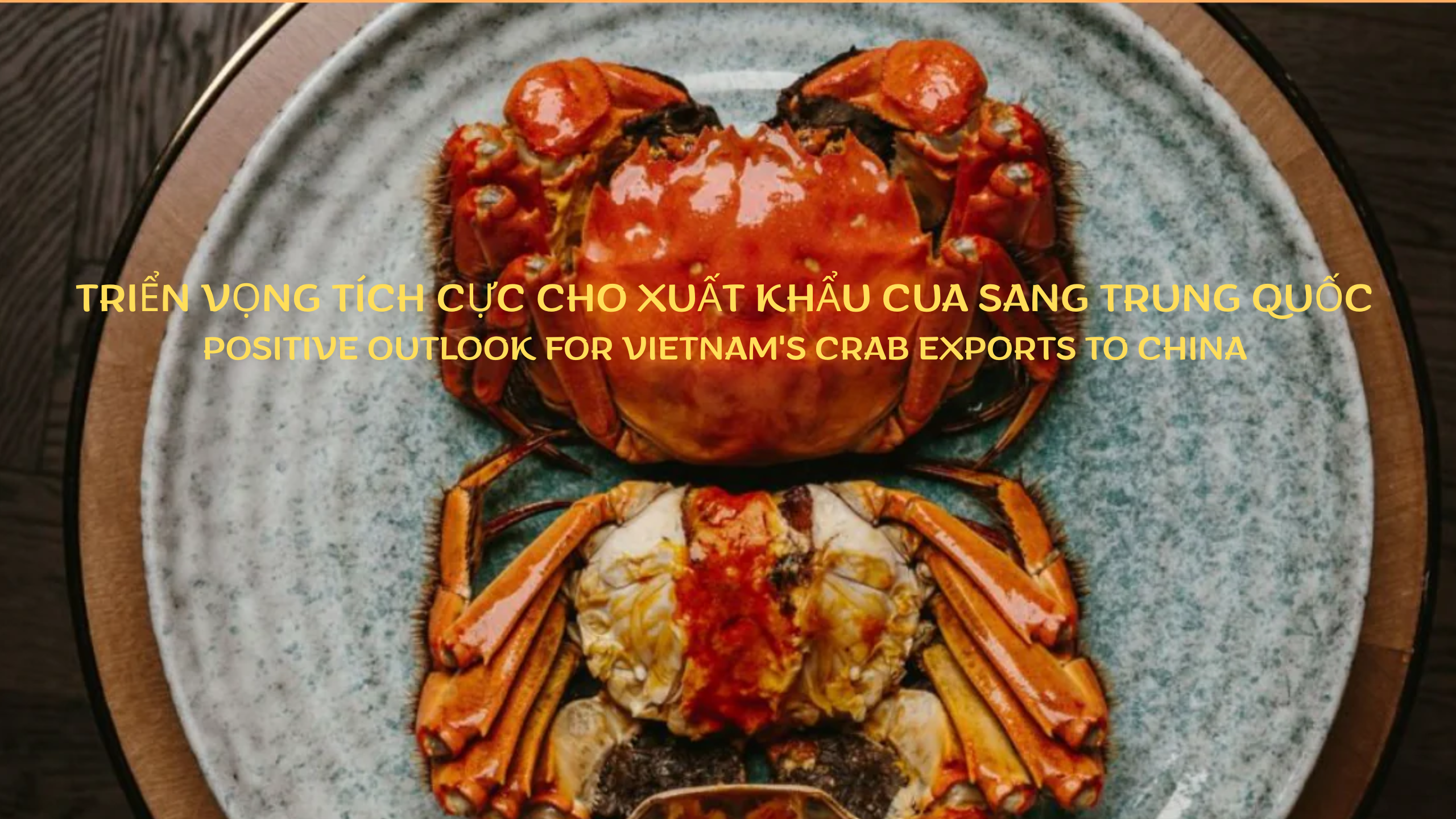 VASEP Highlight - T22025 Cua ghẹ