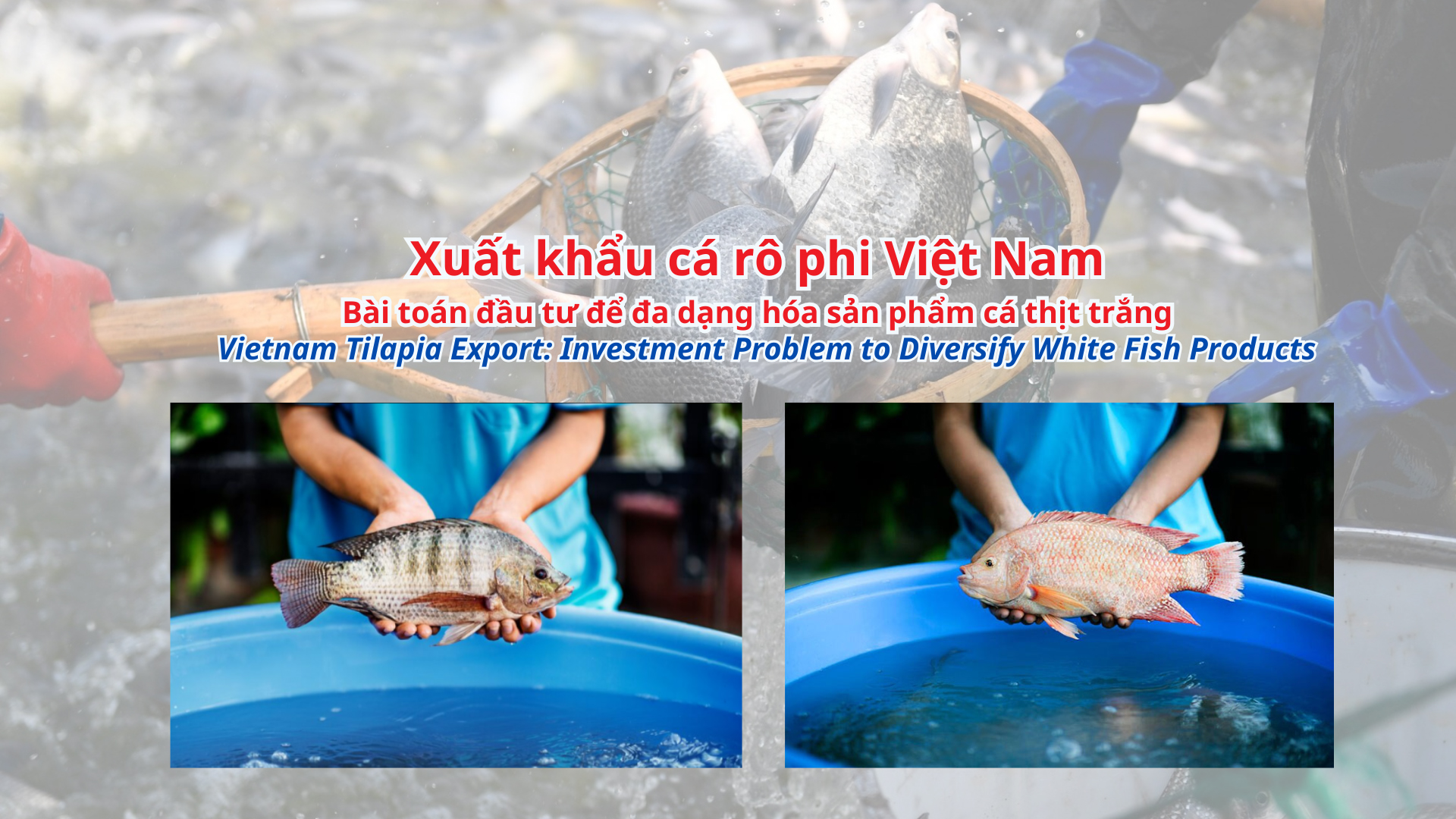 VASEP Highlight - T32025 Cá thịt trắng