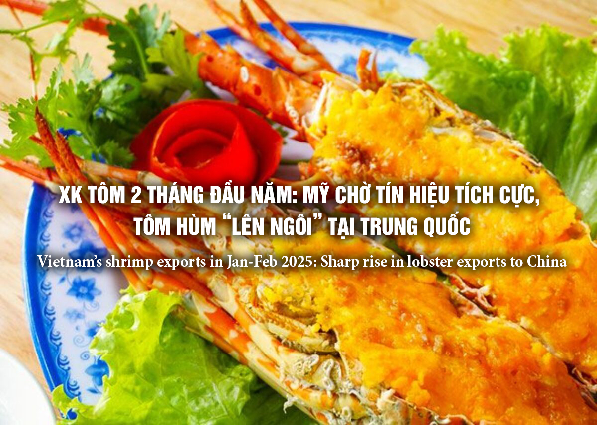 VASEP Highlight - T32025 Tôm