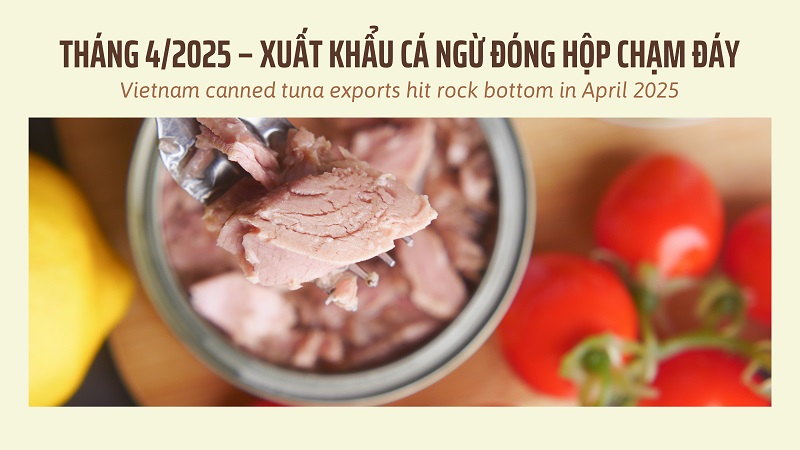 VASEP Highlight - T52025 Cá ngừ