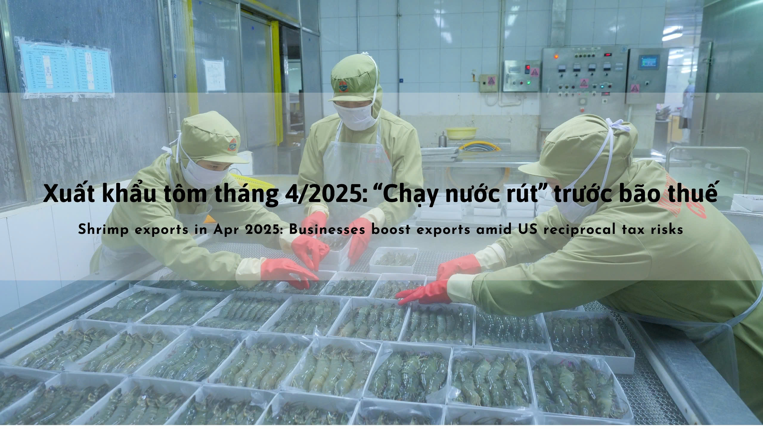 VASEP Highlight - T52025 Tôm