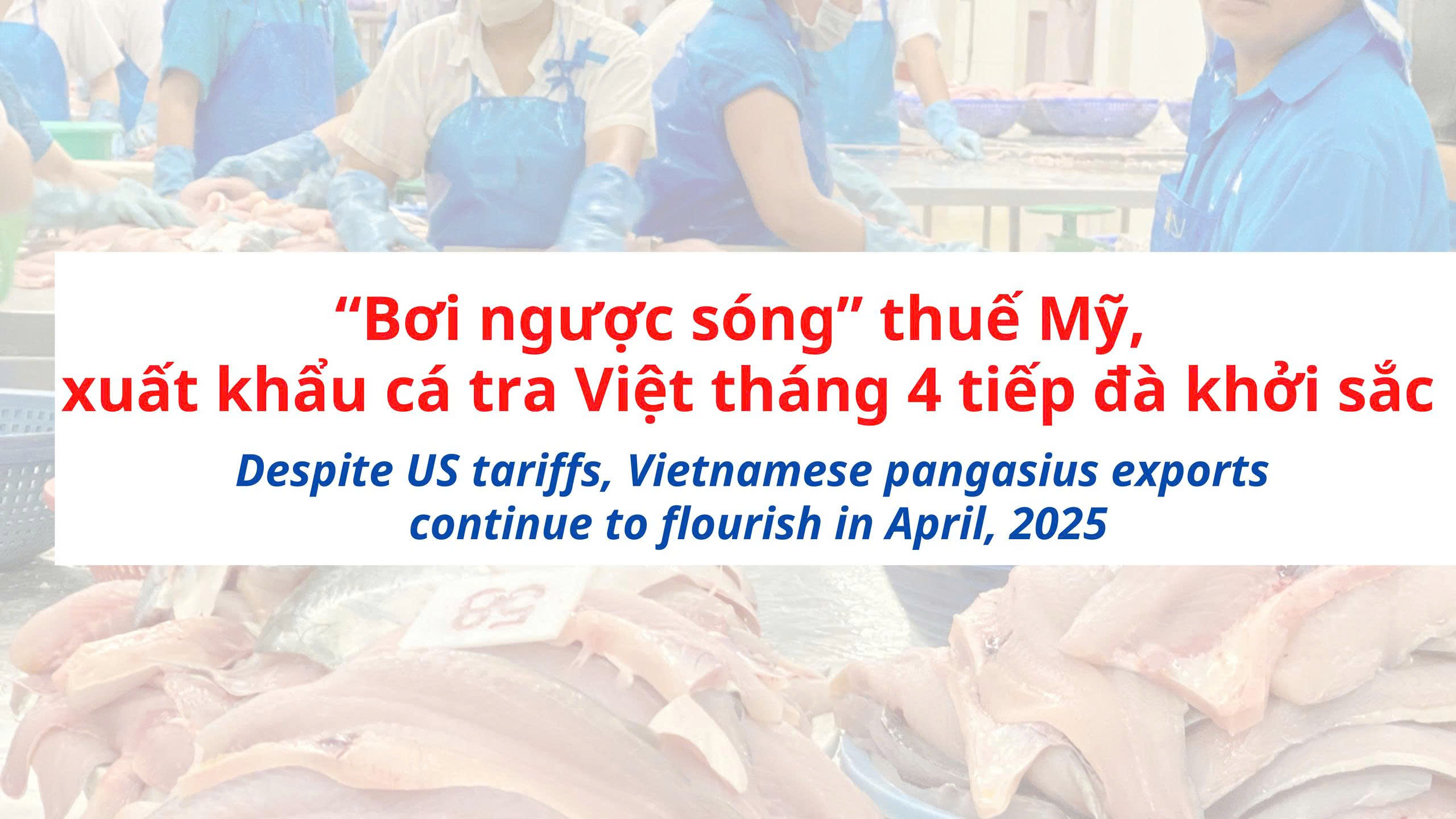 VASEP Highlight - T52025 Cá Tra