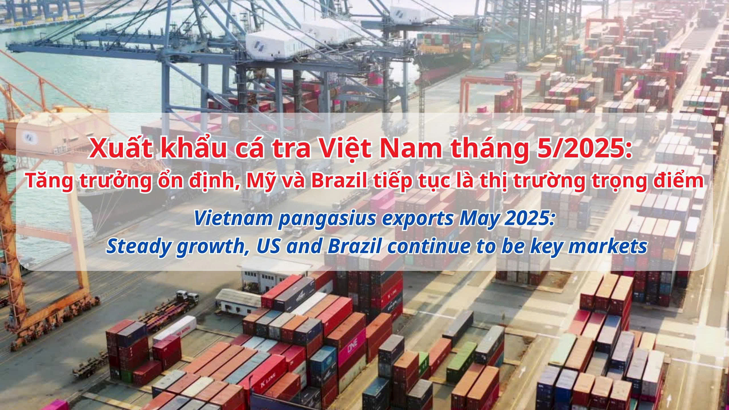 VASEP Highlight - T62025 Cá Tra