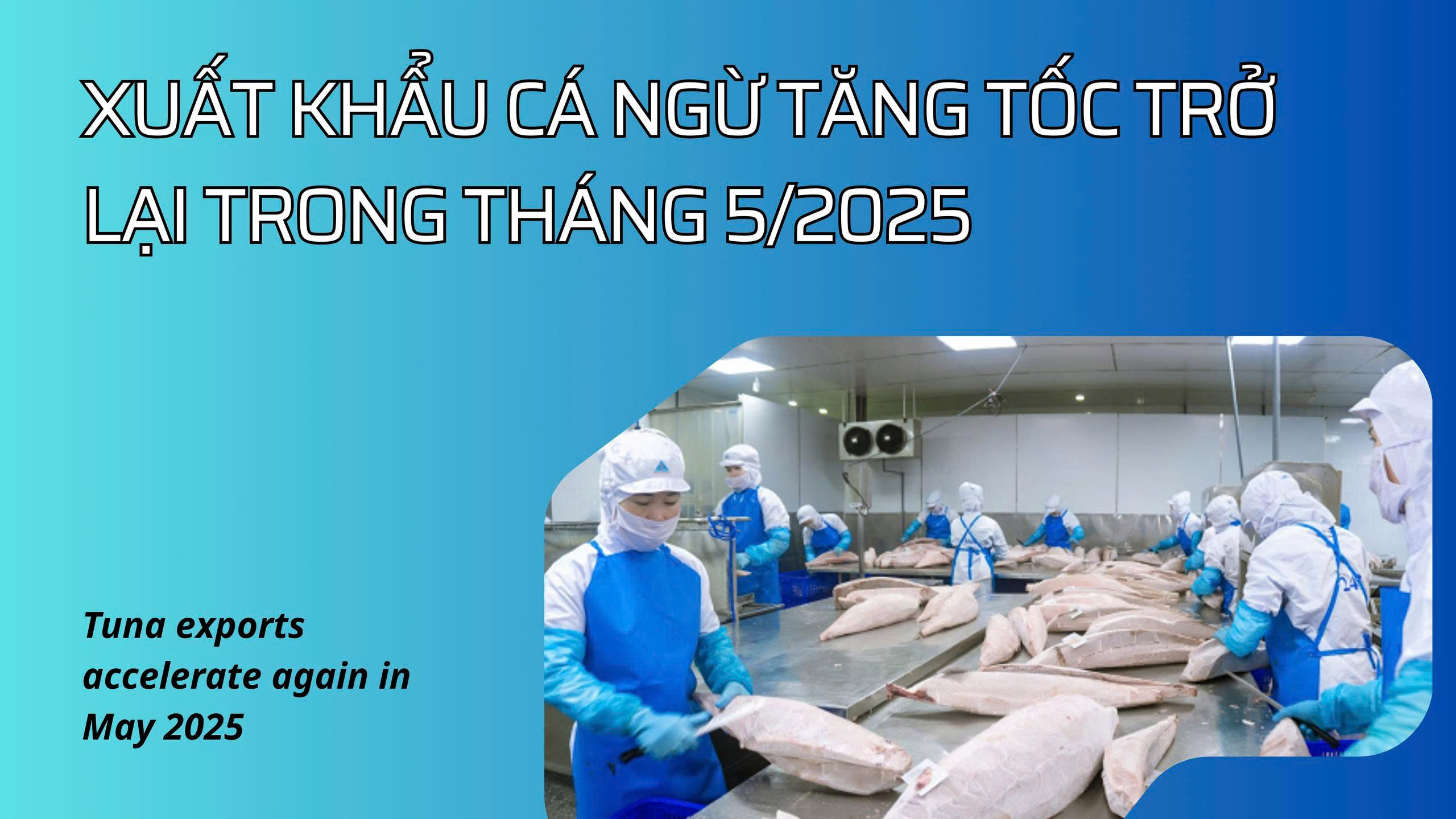 VASEP Highlight - T62025 Cá ngừ