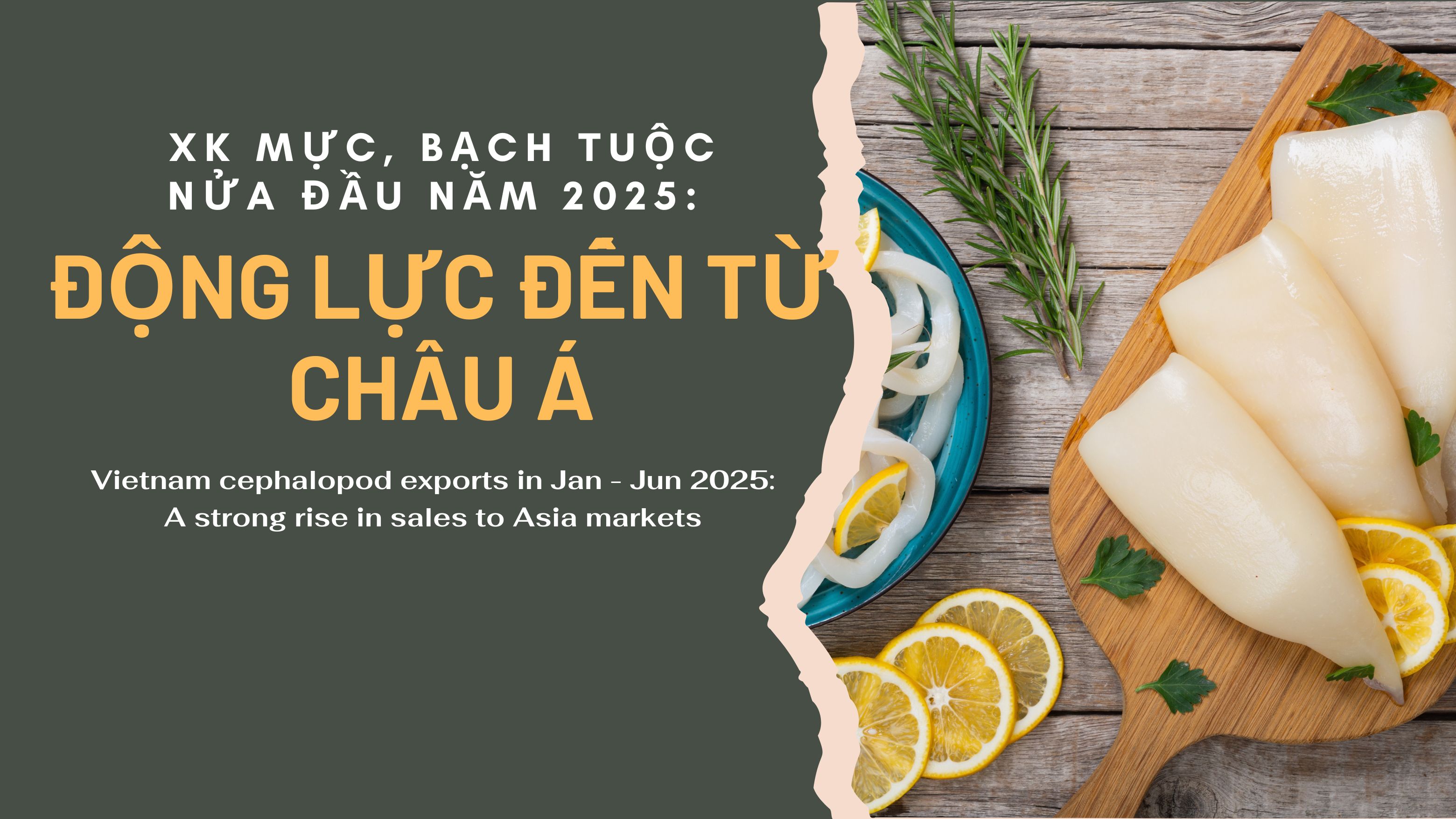  VASEP Highlight - T72025 Mực  Bạch tuộc