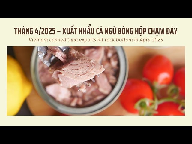 VASEP Highlight - May. 2025 Tuna