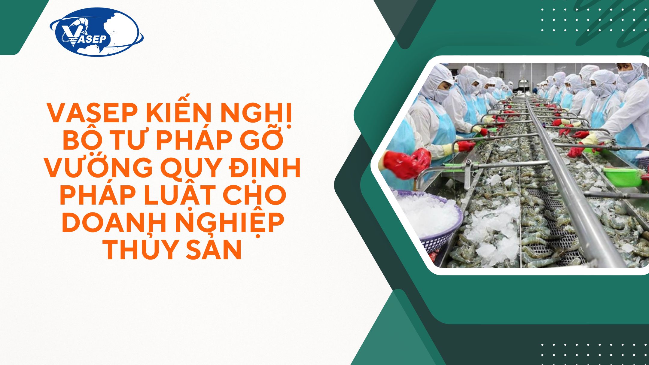 VASEP Highlight - T72025 VASEP kiến nghị Bộ Tư pháp gỡ vướng quy định pháp luật cho DN thủy sản