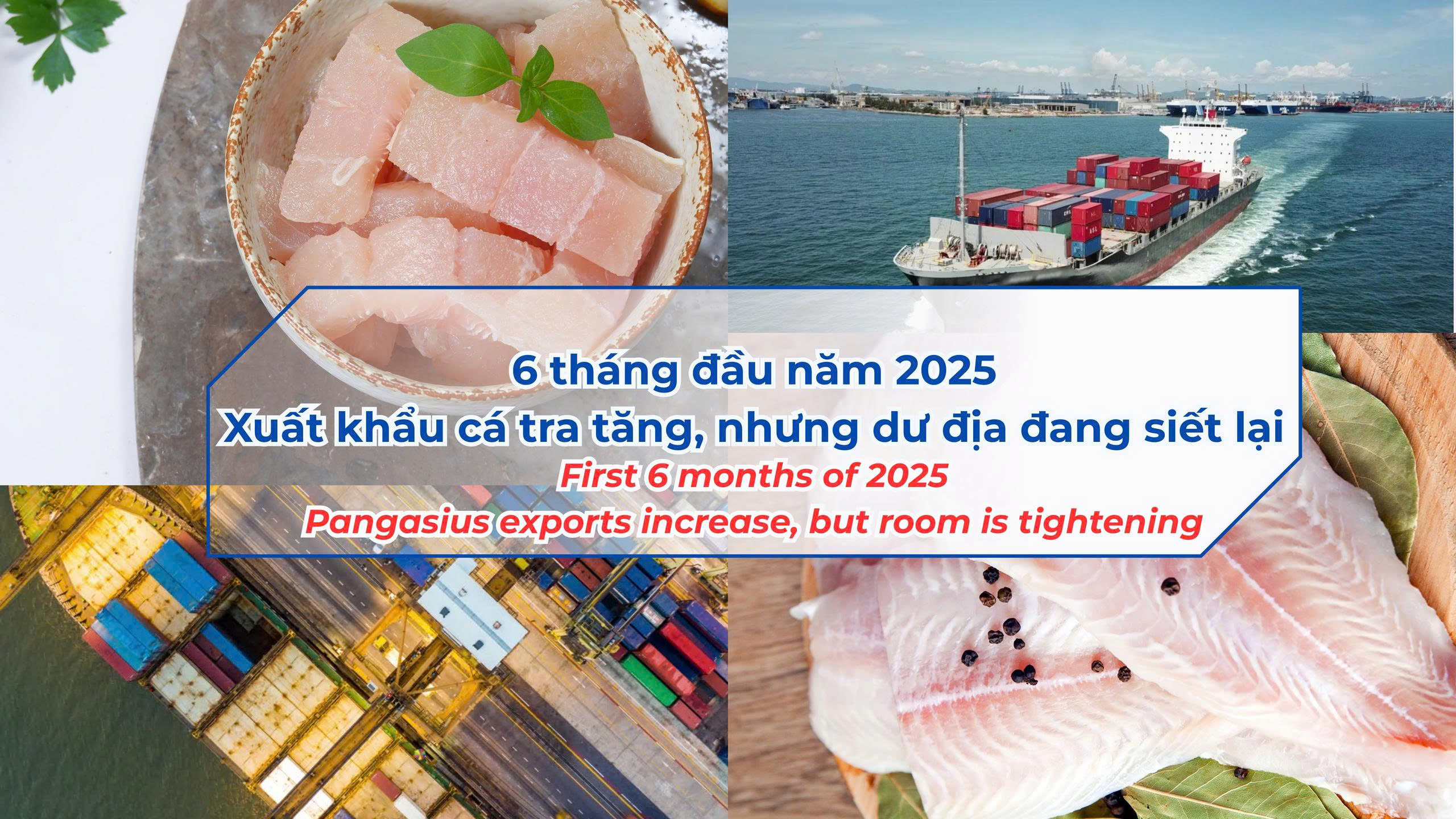 VASEP Highlight - July. 2025 Pangasius