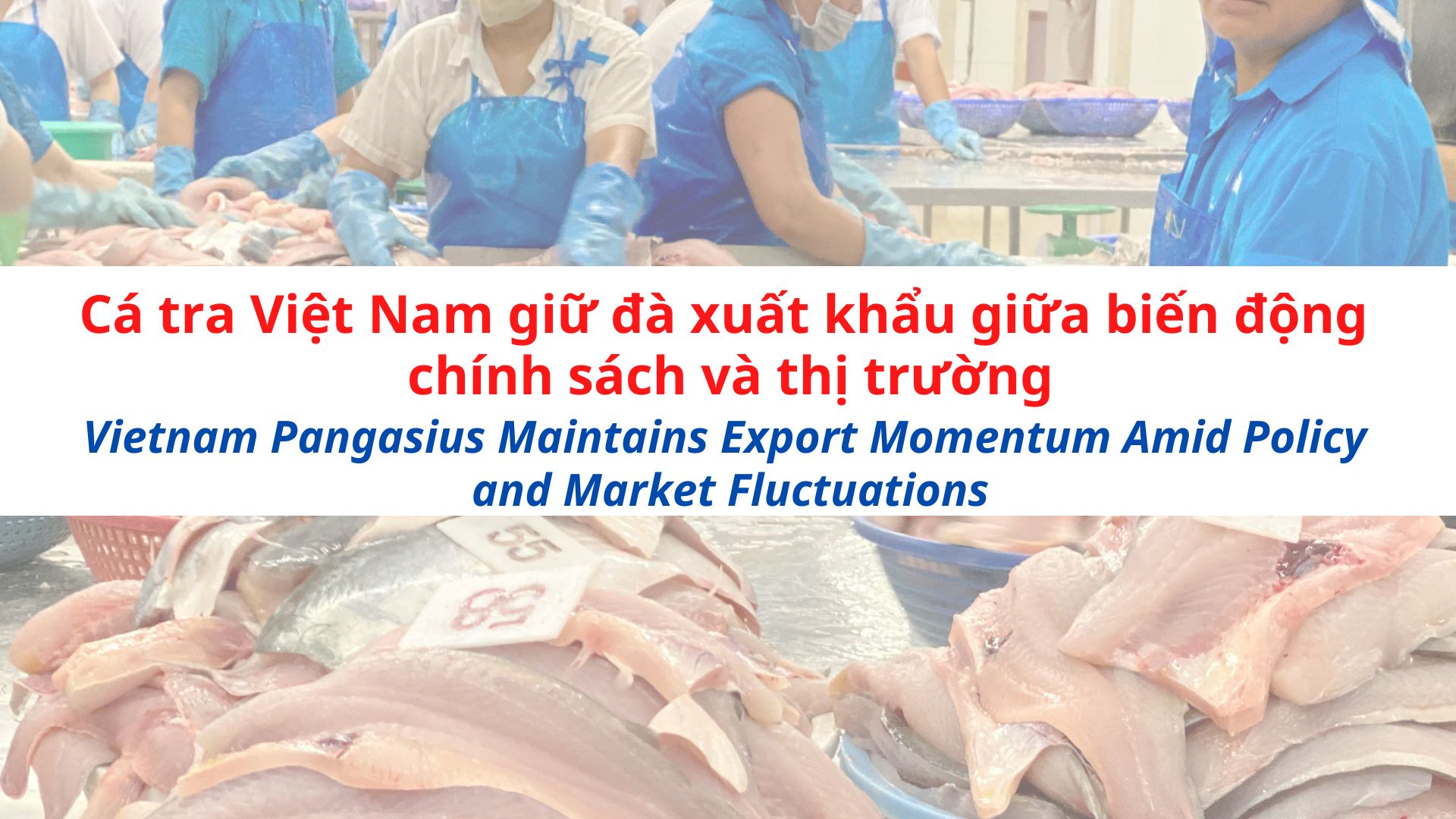 VASEP Highlight - T82025 Cá tra