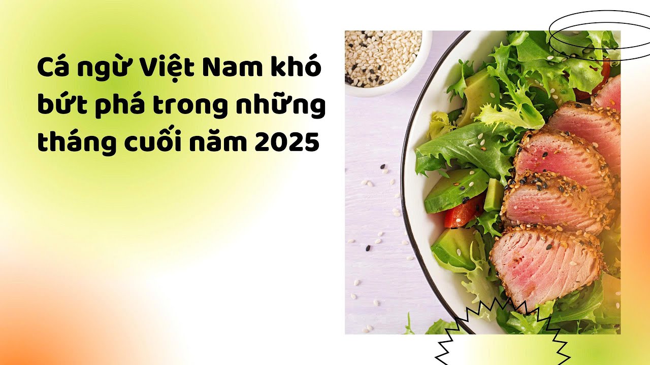 VASEP Highlight - Aug. 2025 Tuna