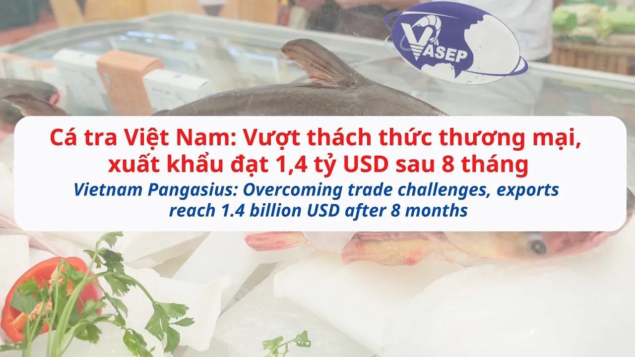 VASEP Highlight - Sep. 2025 Pangasius