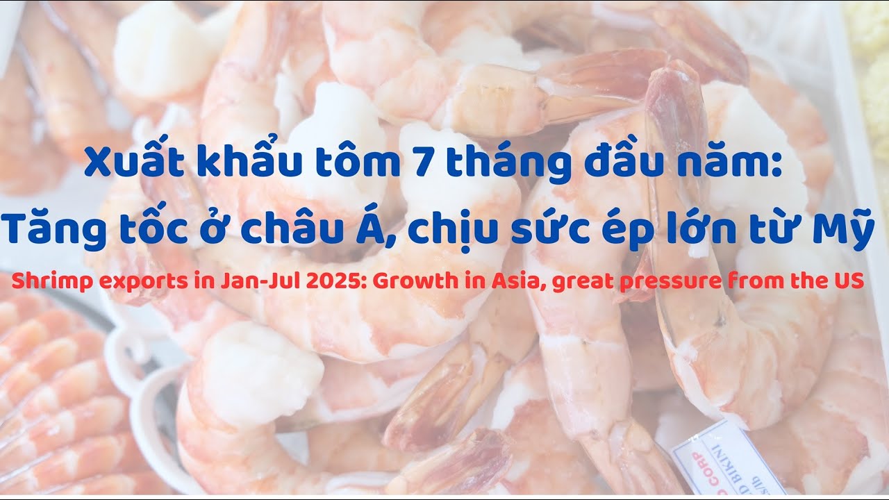 VASEP Highlight – Aug.2025 Shrimp