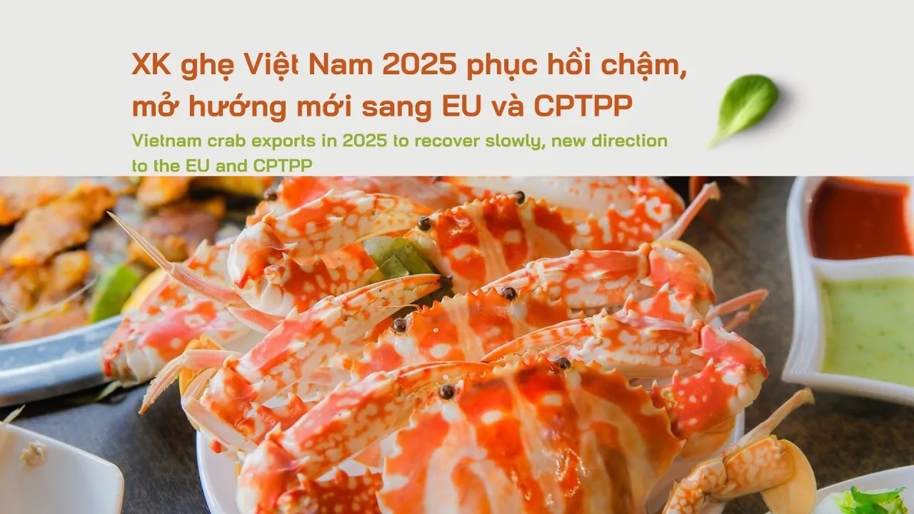  VASEP Highlight - Oct. 2025 Swimming crab