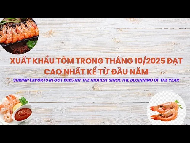 VASEP Highlight - Noc. 2025 Shrimp