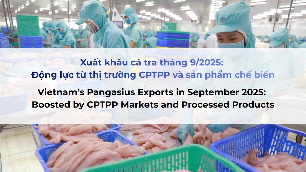 VASEP Highlight - Oct. 2025 Pangasius