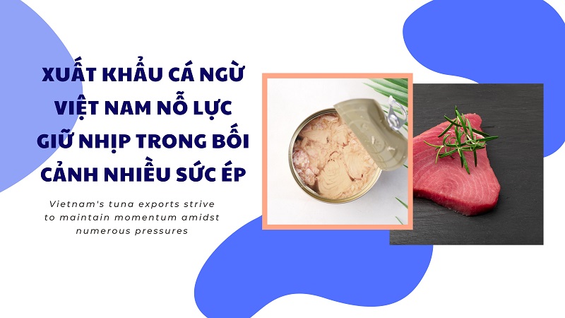  VASEP Highlight - T122025 Cá Ngừ