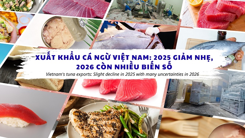 VASEP Highlight - T12026 Cá ngừ