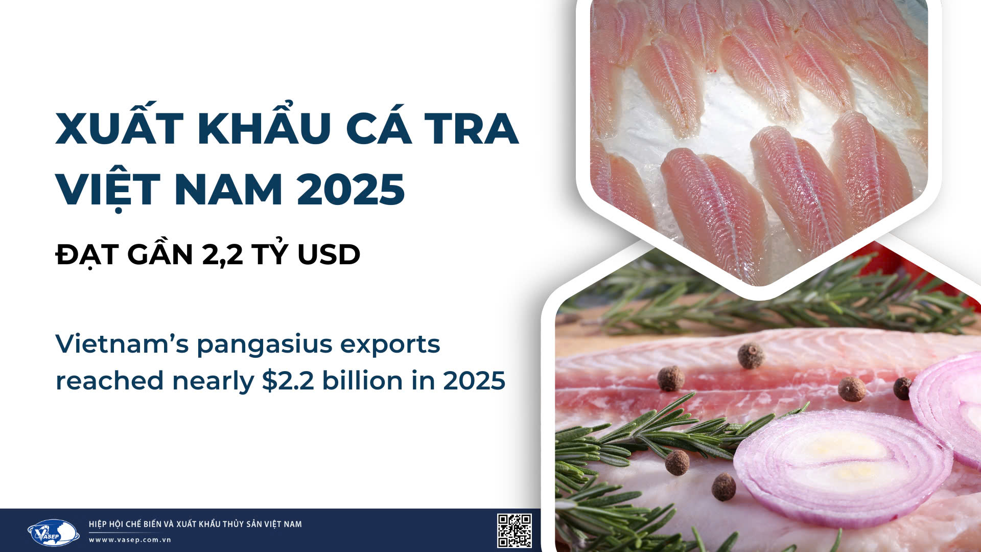 VASEP Highlight - T12026 Cá tra