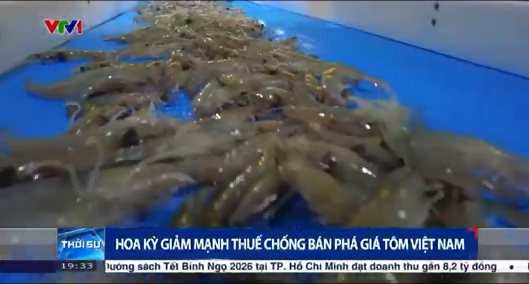  Hoa Kỳ giảm mạnh thuế chống bán phá giá tôm Việt Nam