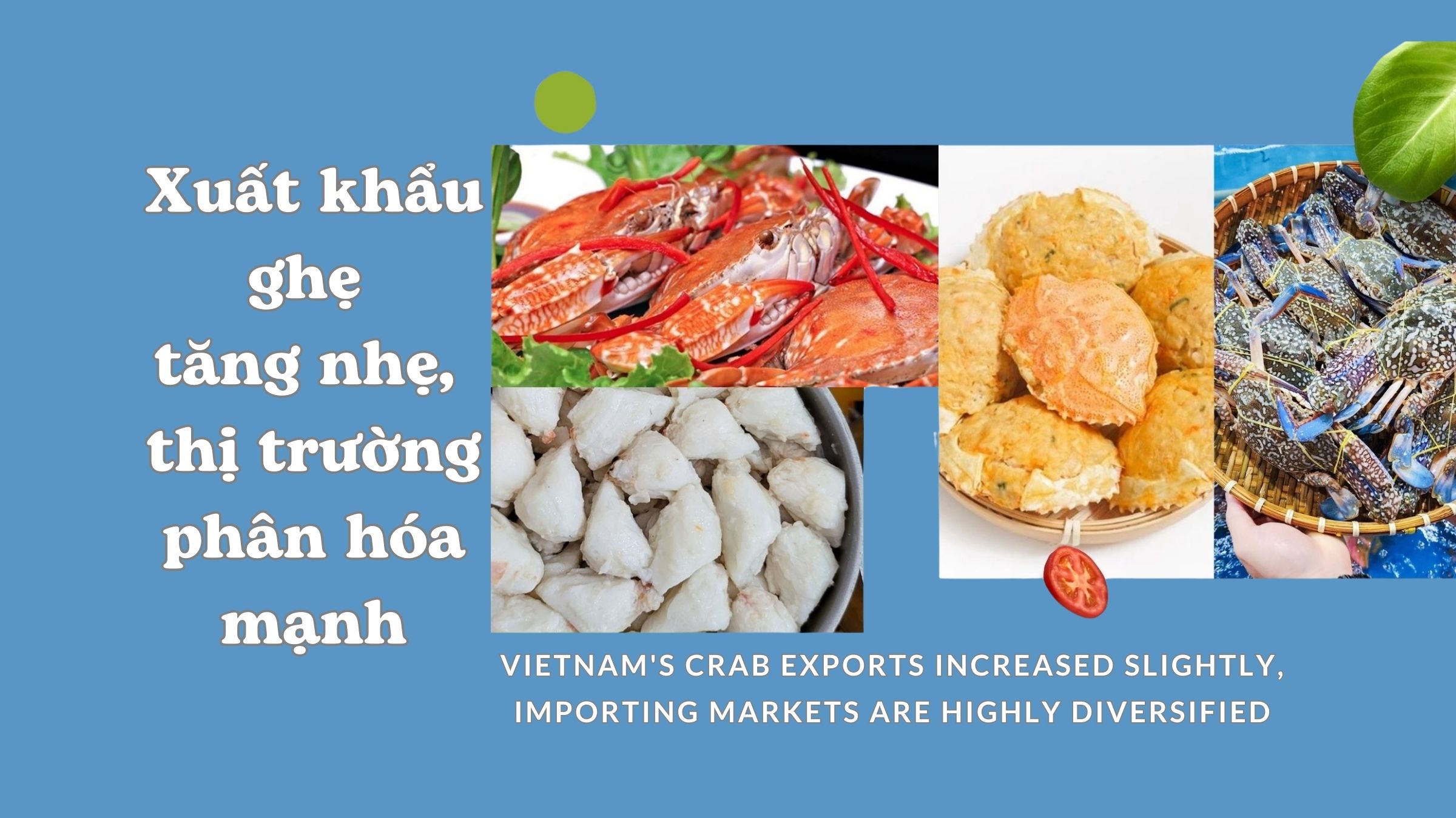   VN  Bỏ qua điều hướng Tìm kiếm     Tạo   Hình ảnh đại diện VASEP Highlight - T22026 Ghẹ