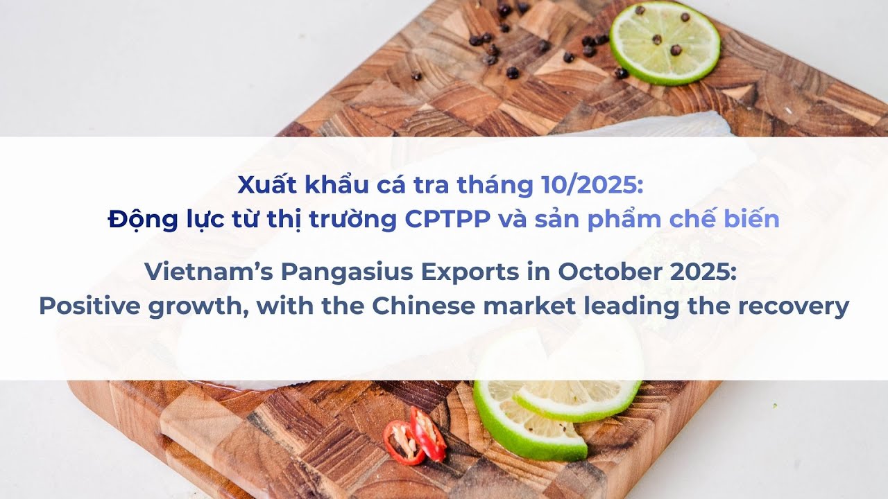 VASEP Highlight - Nov. 2025 Pangasius