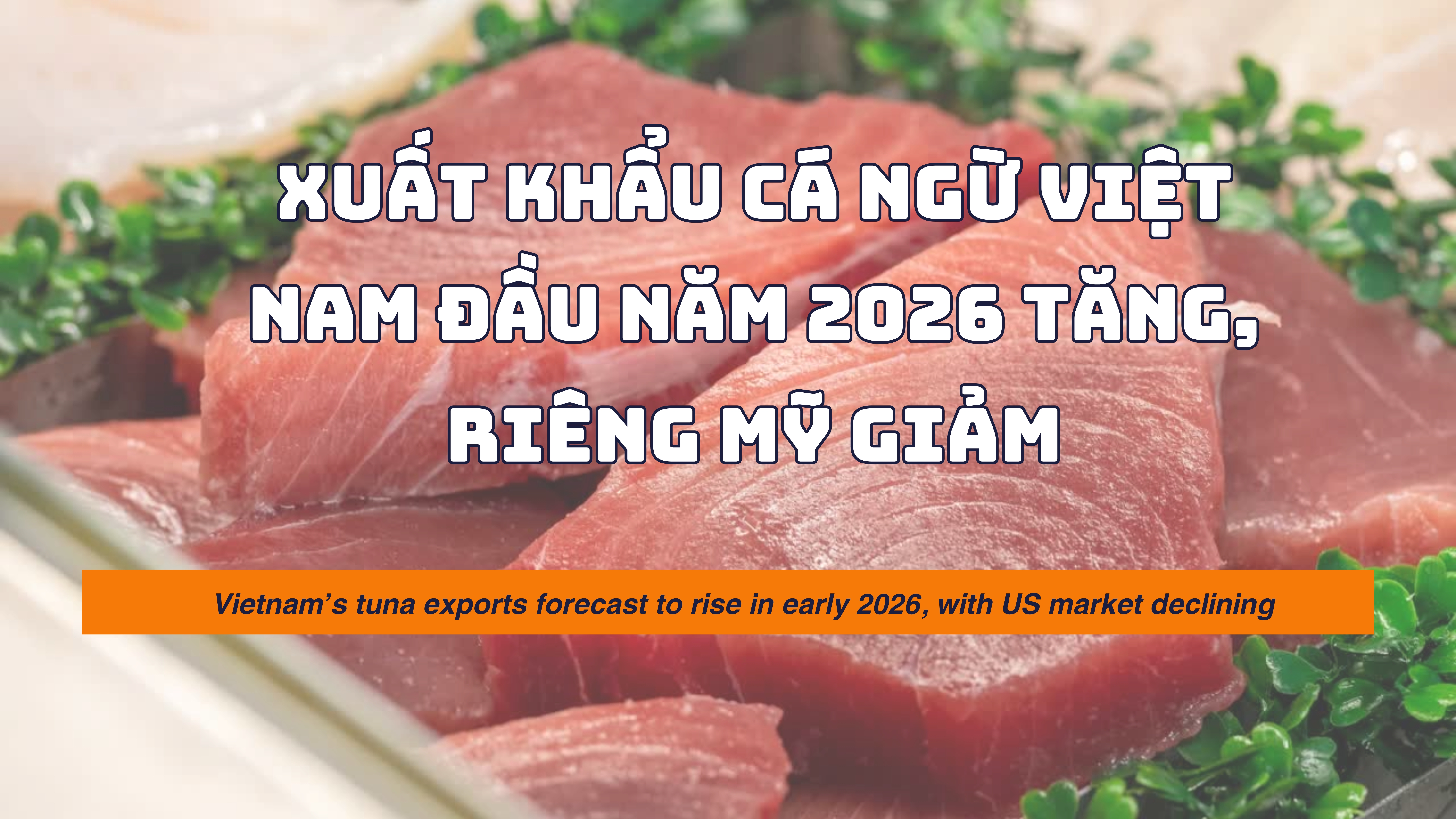 VASEP Highlight - T22026 Cá ngừ