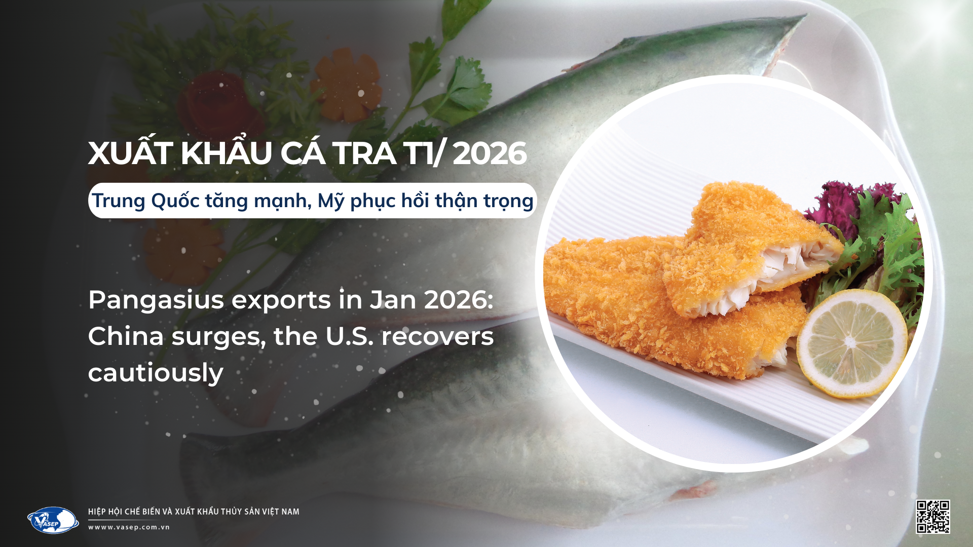 VASEP Highlight - T22026 Cá tra