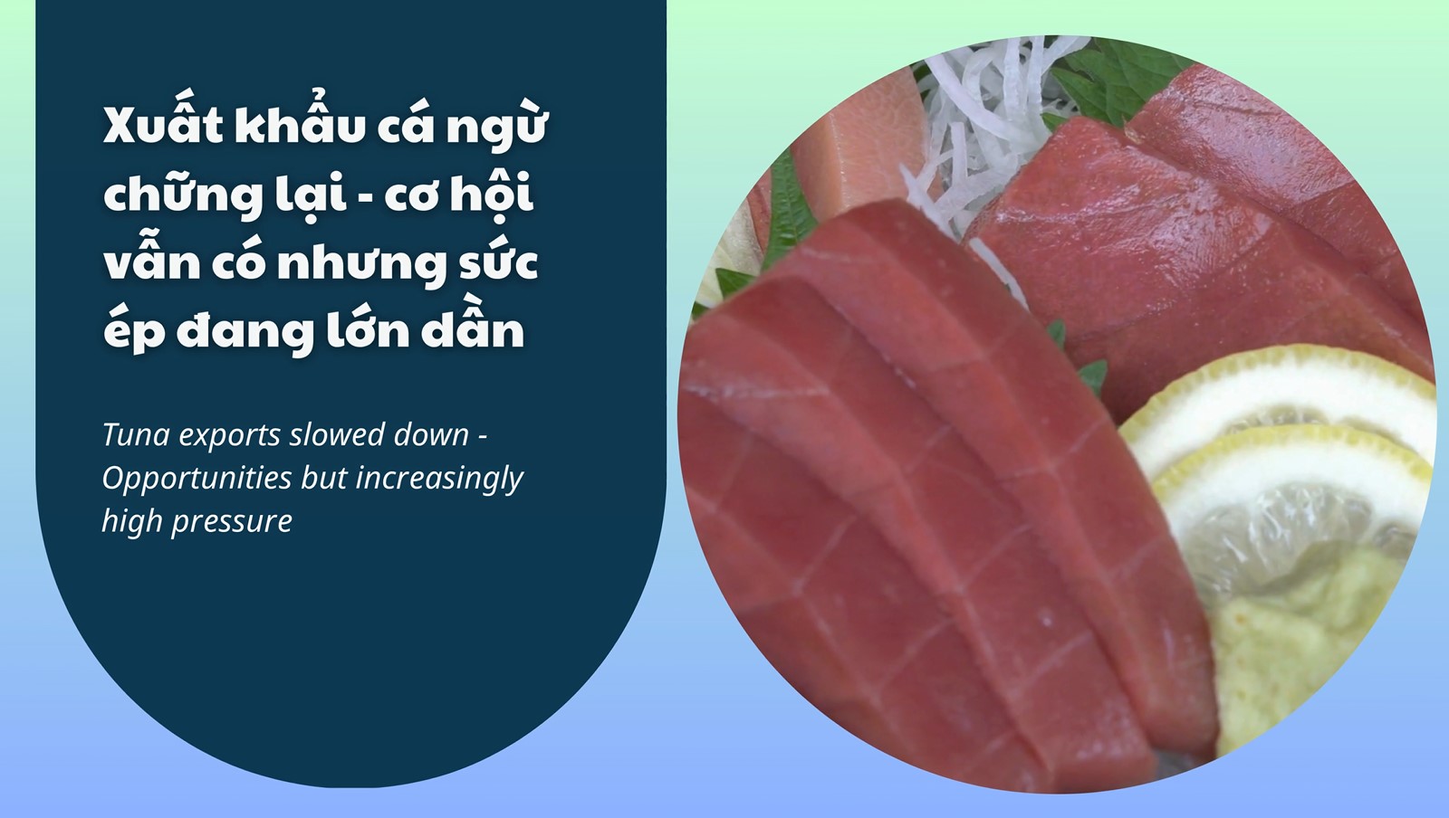  VASEP Highlight - T32026 Cá ngừ