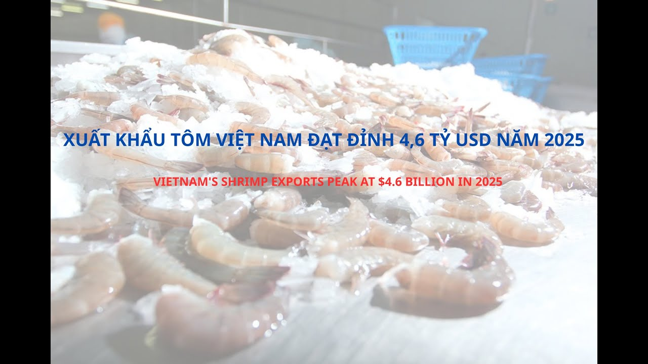 VASEP Highlight - Jan2026 Shrimp