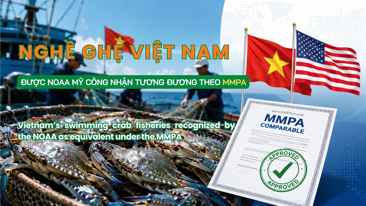 VASEP Highlight - T52025 Cua ghẹ và giáp xác khác