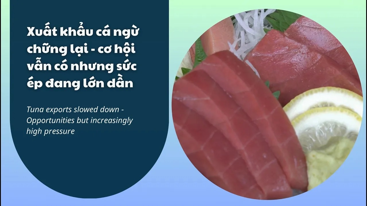  VASEP Highlight - Mar 2026 Tuna
