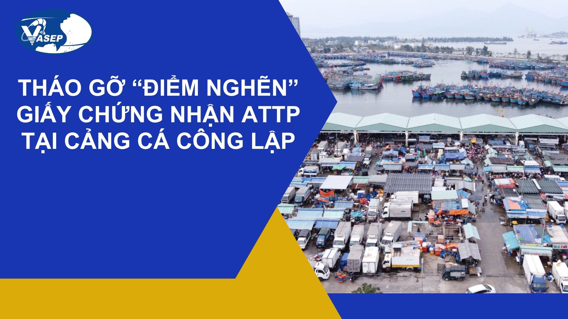 Tháo gỡ “điểm nghẽn” giấy chứng nhận ATTP tại cảng cá công lập