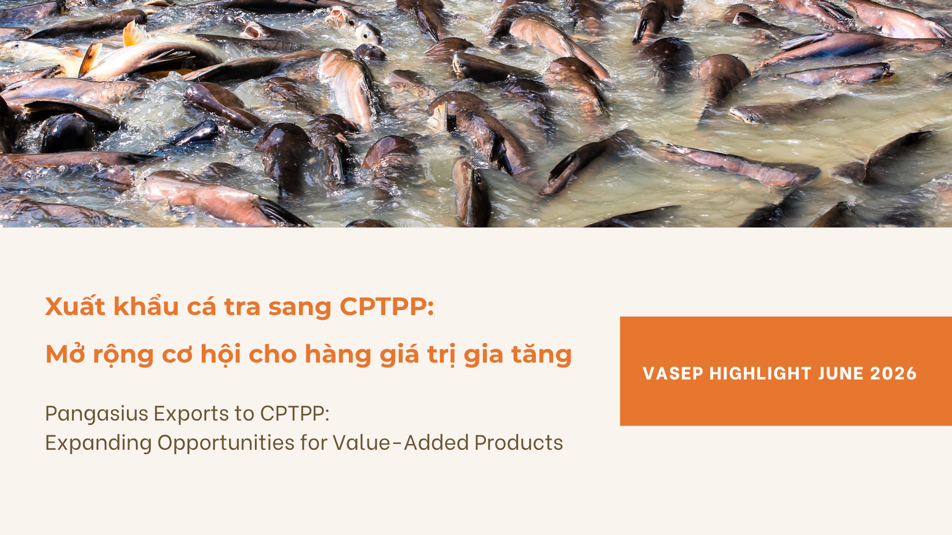 VASEP Highlight - Jul 2026 Pangasius