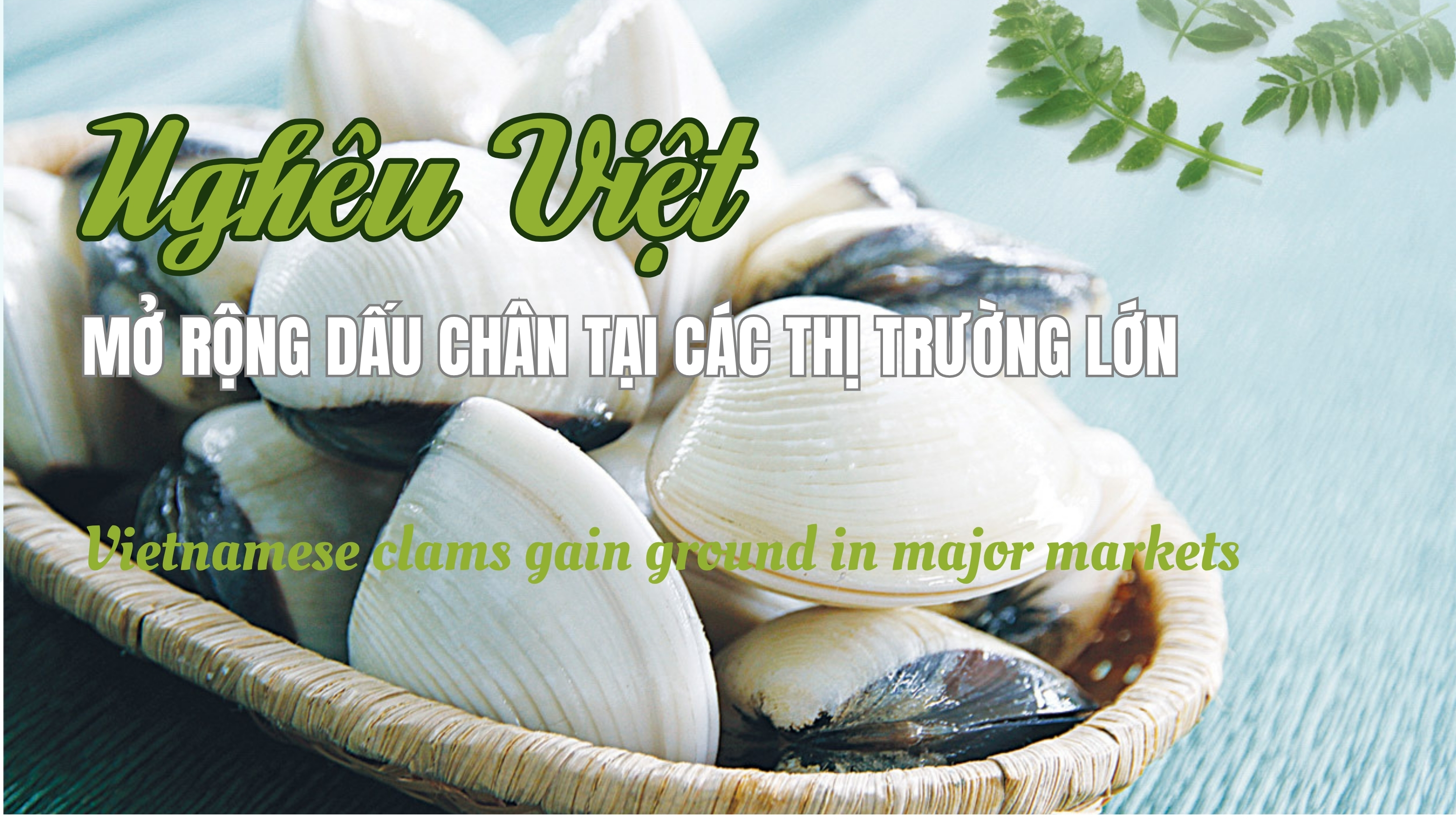 VASEP Highlight - T82026 Nghêu